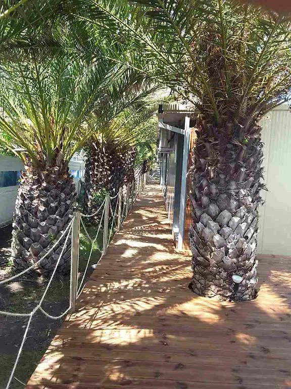 Thalassa Boutique Hotel Sarti 2*,